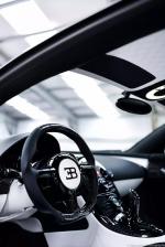Bugatti Veyron 16.4 Linea Vivere by Mansory 2014 года